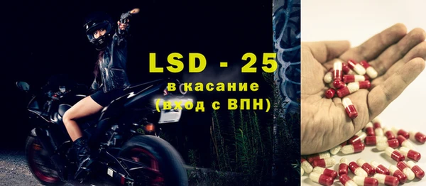 индика Аркадак