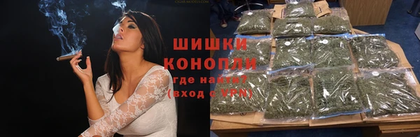 индика Аркадак