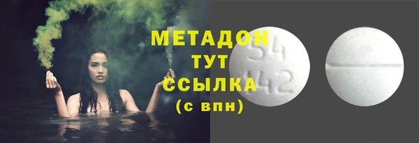 индика Аркадак