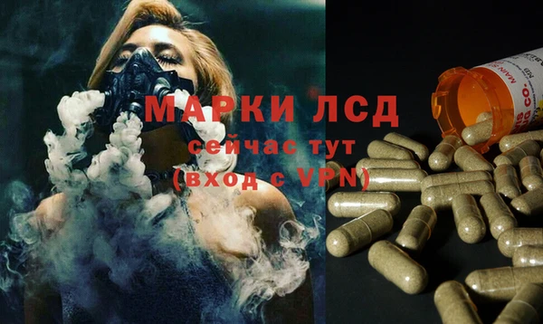 индика Аркадак
