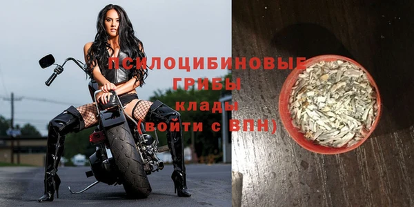 индика Аркадак