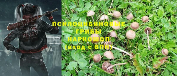 индика Аркадак