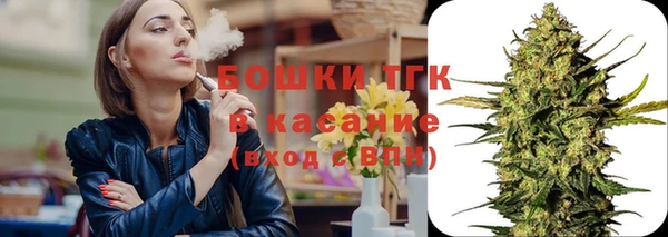 индика Аркадак